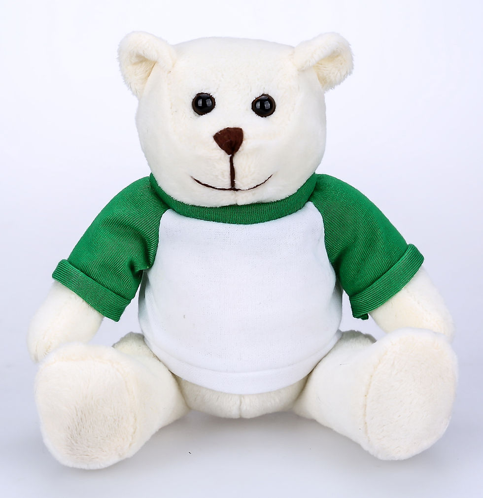 RG876 Smooth White Bear Wearing Raglan with Custom Logo Printed Free