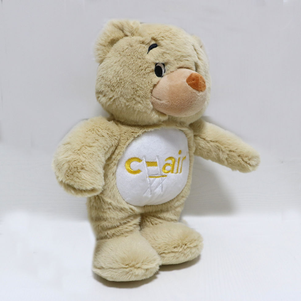 Thumbnail: Welcome to Pittsburgh Plush