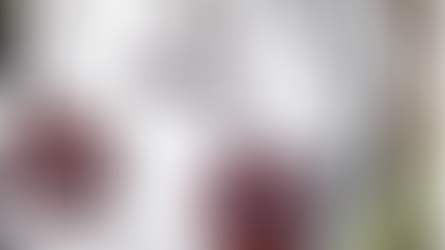 Startup Profile: Sandra Bustos Designer