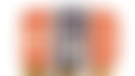 Initial Public Offering (IPO)