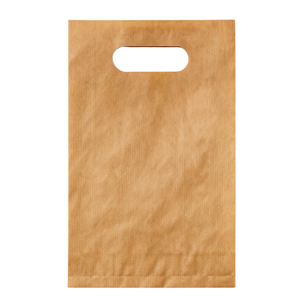 Saco Papel Asa Vazada 24x40+6