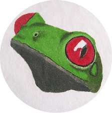 Rana de ojos rojos, Camisetas pintadas, artesanales, ilustraciones, naturaleza, Pigmento Bogotá
