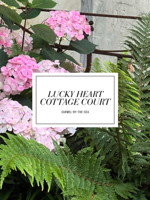 Breathing Life Into Carmel’s Hidden Courtyard