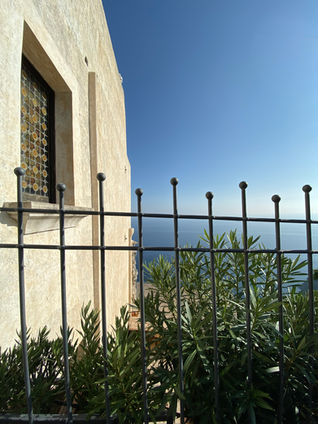 IMG_9356.jpeg