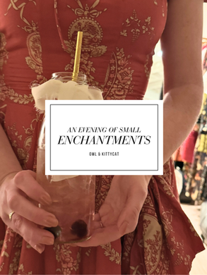 An Evening of Small Enchantments: Owl & Kittycat