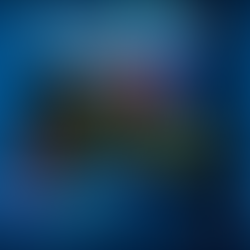 LIVE DINGDONG POKER DICE 