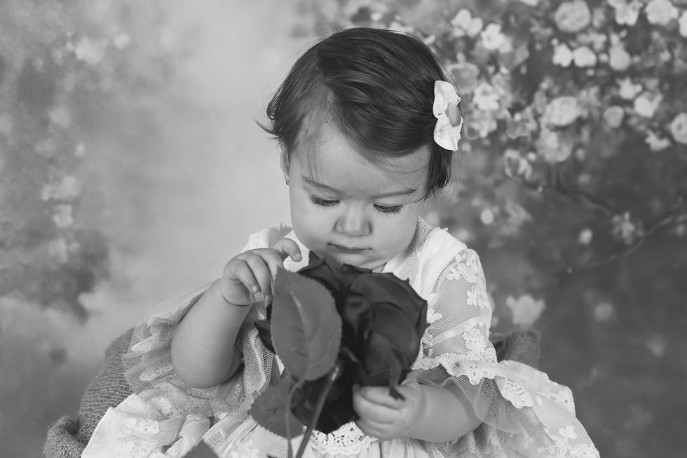 DSC00654bn