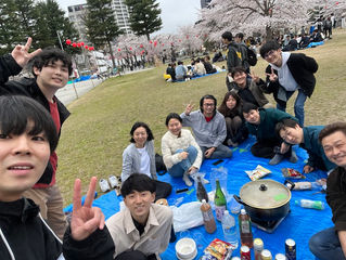 Hanami Party was held in Nishi Park.