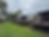 Lakeside chalets Lough Ree with wooden decks and lawn.
