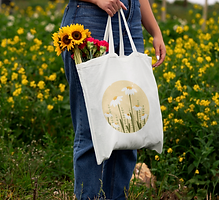 Screenshot 2024-09-24 at 20.32.11.png