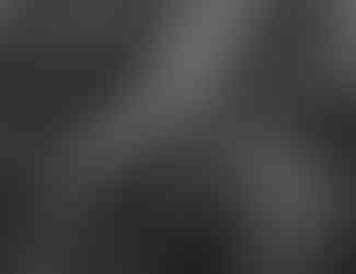 Kiko The Son of Kong