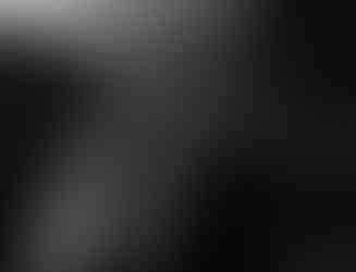 Kiko The Son of Kong