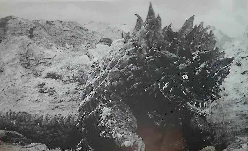 Magular Production Photo