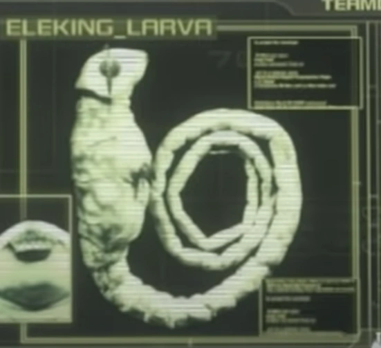 Eleking Larva