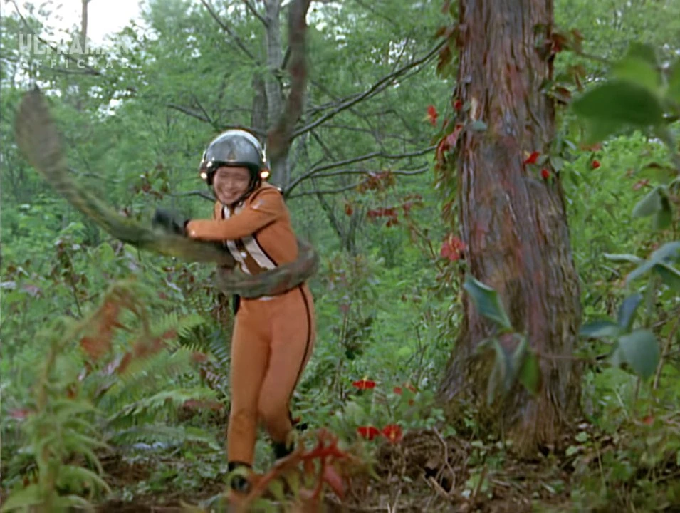 Fuji caught in Suflan