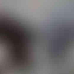 Kong vs Mechani Kong