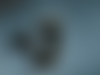 Kai Dragon | Monster Profile