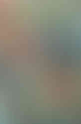 Orphan and the Five Beast: Bath of Blood Issue 4 James Stokoe