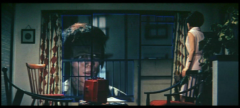 Frankenstein in the Window