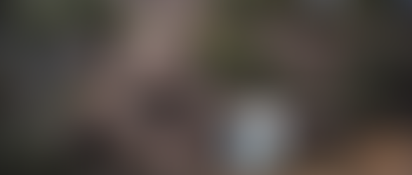 Minilla | Monster Profile