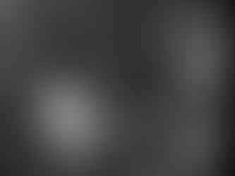 Kiko The Son of Kong