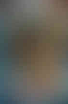 Kaiju Epic! Matt Frank Cover