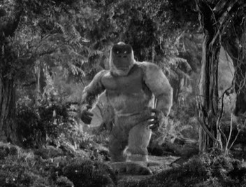 Kiko The Son of Kong