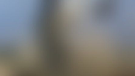 Mognezun | Monster Profile