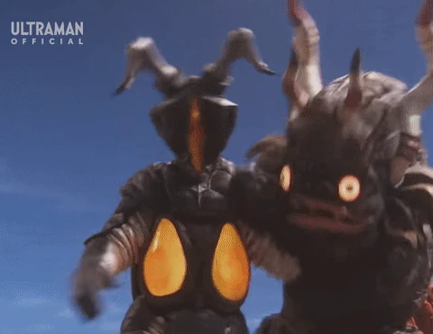 MIclas Shocks Zetton