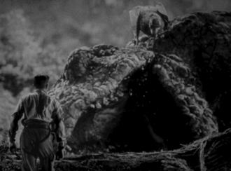 Giant Scavenger Raven