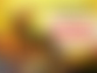 Frankenstein Conquers the World (1965) Review | Maser Squad & Godzilla Island Archive