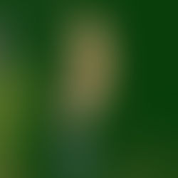 A poesia cantada de LEXY aborda um relacionamento abusivo e a volta por cima.