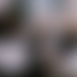 Fat Family lança turnê ‘Fat Family Baile Charme’ com vários shows pelo país