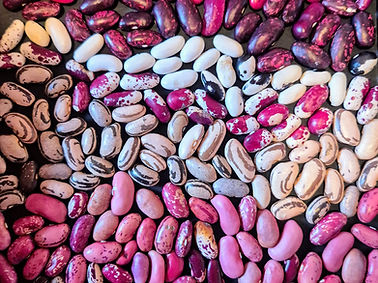 20250110_124434~2(1)_edited.jpg