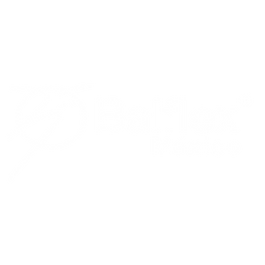 Balflex_Mesa de trabajo 1 copia 3.png