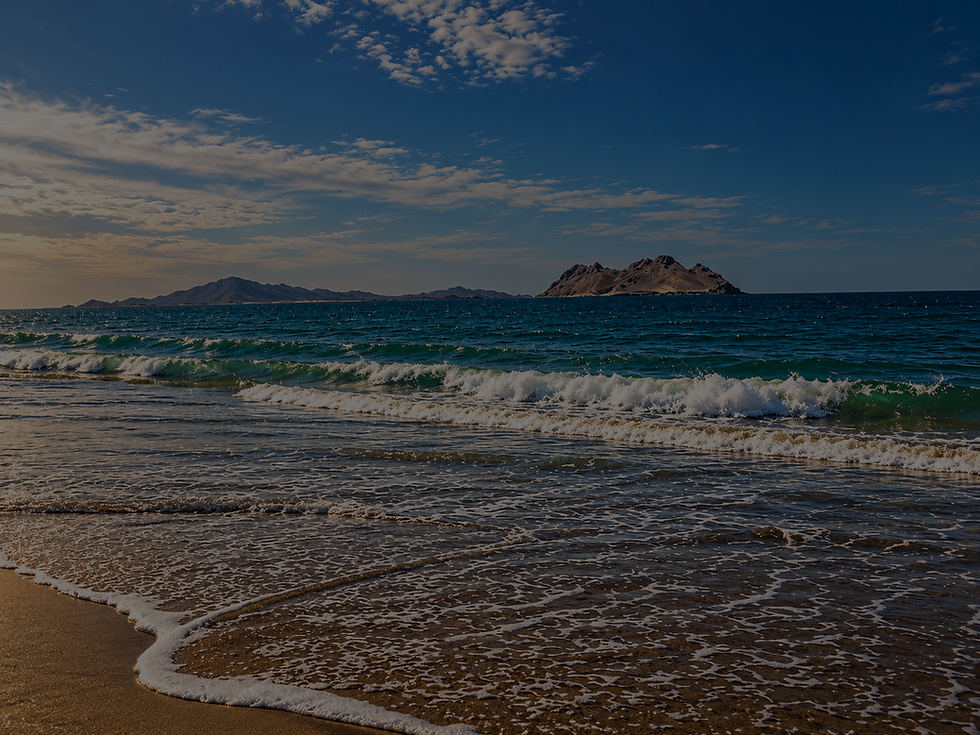bahia de kino.png