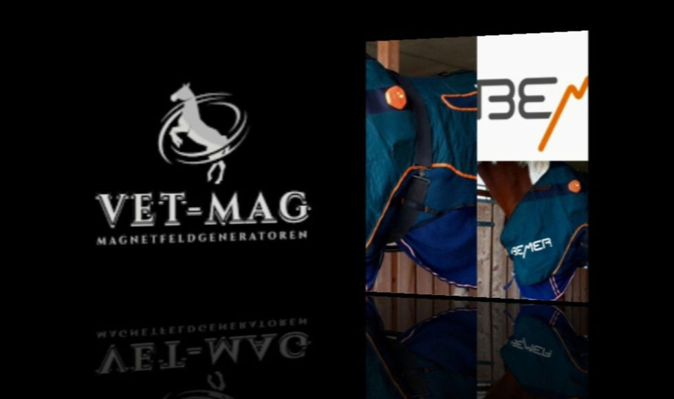 Screenshot_20250907_143841_Gallery_edited_edited_edited_edited_edited_edited_edited_edited