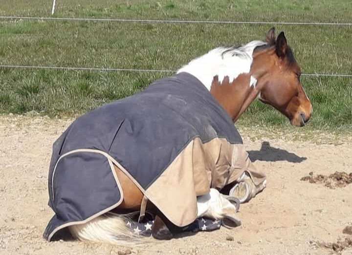 Screenshot_20250127_184927_Facebook