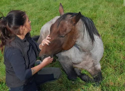 Screenshot_20250127_184723_Facebook