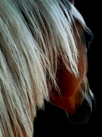 Screenshot_20250724_160653_AI Retouch - Remove Objects.jpg