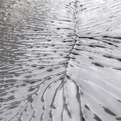 Anma JOUAN "Nervures"