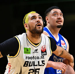 Kelman-Poto Returns to the Franklin Bulls for 2026 Sal’s NBL Season