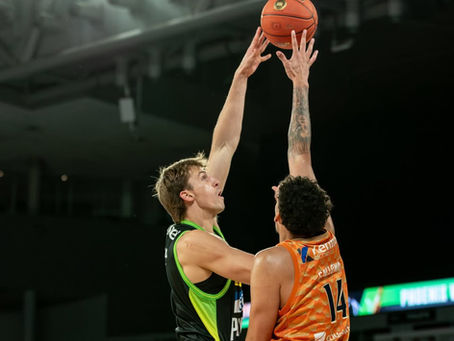 Kiwi Big comes home to South Auckland 