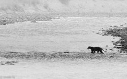 DSC_5642-1-2