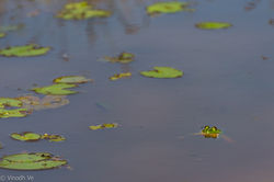 _DSC3629
