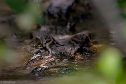 DSC_7621-Edit-2-003