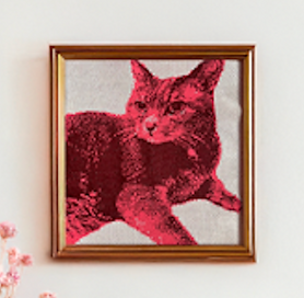 Jacquard tissu tricoté encadré chat Caligraphic