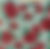 Jacquard tissu tricoté motif de roses Caligraphic