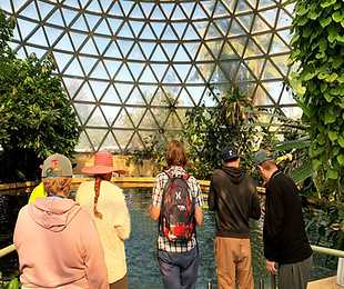 Visit to botanical gardens