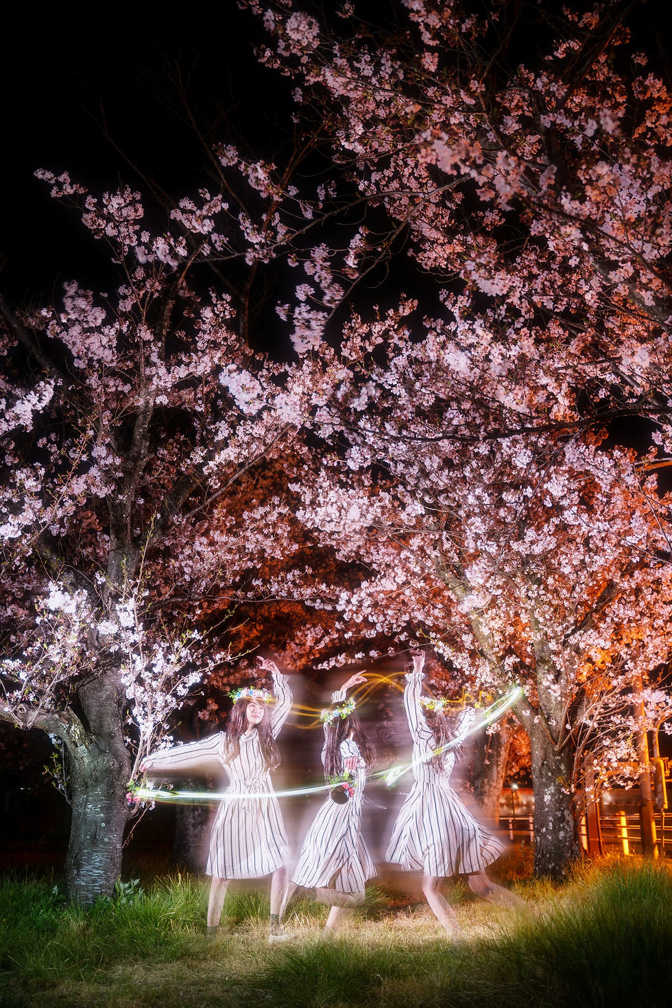 夜桜ポートレート静岡県
